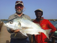 IGFA - All Tackle World Record - Sunpat Grunt - The Gambia