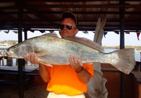 Cassava - Pseudotolithus senegalensis