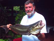 Cobia also known as Black-Salmon