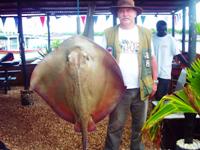 70lb Stingray 