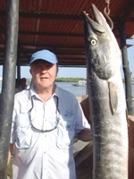 51lb Guinea Barracuda