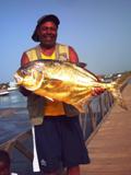 Permit - Largest caught on rod and line