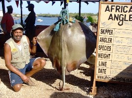 Angler Ivan Wellington 'Top Cat' Skipper and 120lb Stingray