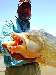 Tigerfish