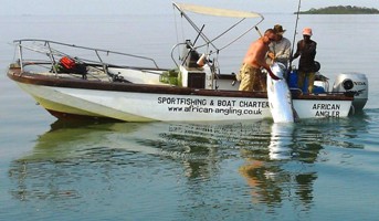 200lb plus Tarpon caught in the Gambia River