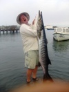 Massive Guinean Barracuda caught in the Gambia River