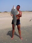 Shore Angling for Guitarfish