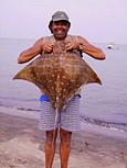 Bat Ray