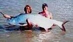 200lb+ tarpon - Angler: Julian Ashpole - Cpt. Mark Longster