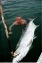 200lb+ tarpon - Angler: Terry